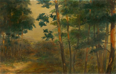 Elemír Halász-Hradil - Lesný priehľad - O 7110 - Slovak National Gallery