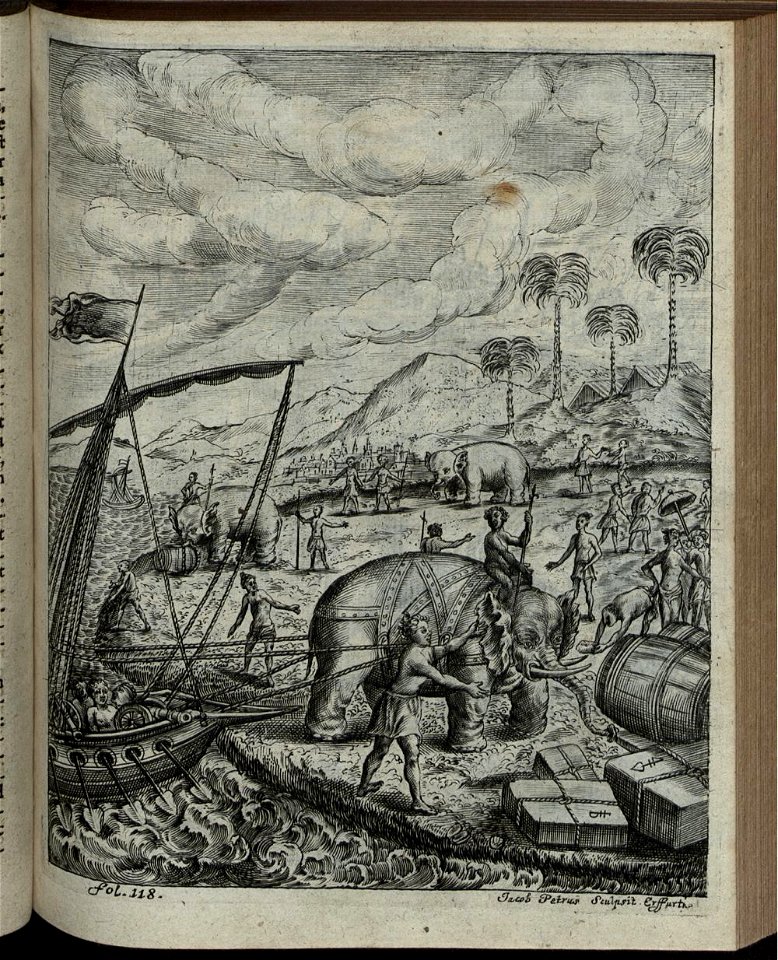 Elephantographia Curiosa 181
