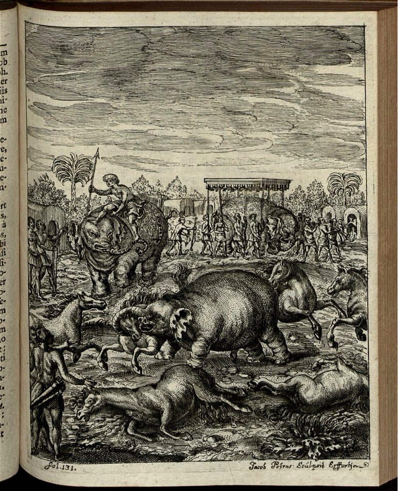 Elephantographia Curiosa 201