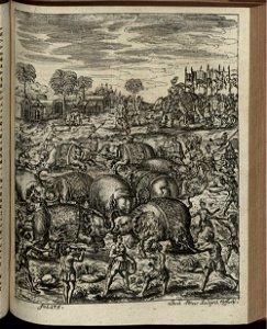 Elephantographia Curiosa 253