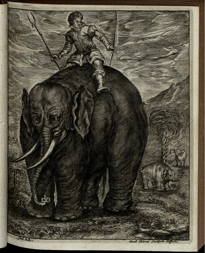 Elephantographia Curiosa 063