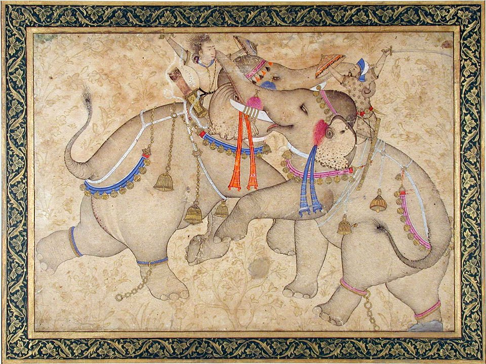 Elephants and Riders in Combat (6125083250)