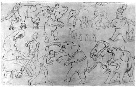 Elephant acts LCCN2003677592