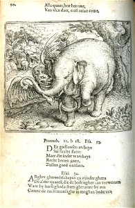 Elephant ende draecke (BM 1868,0612.157)