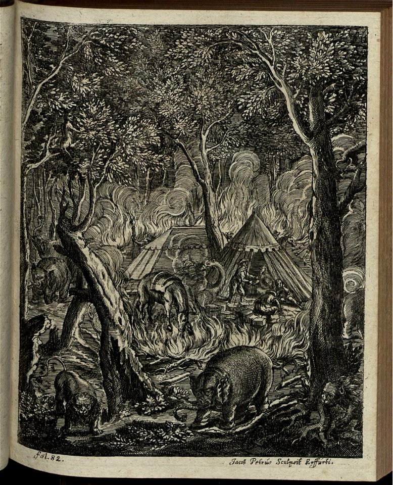Elephantographia Curiosa 129