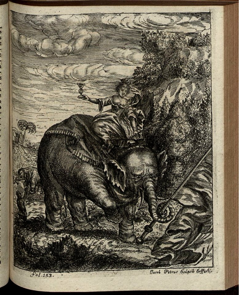 Elephantographia Curiosa 225