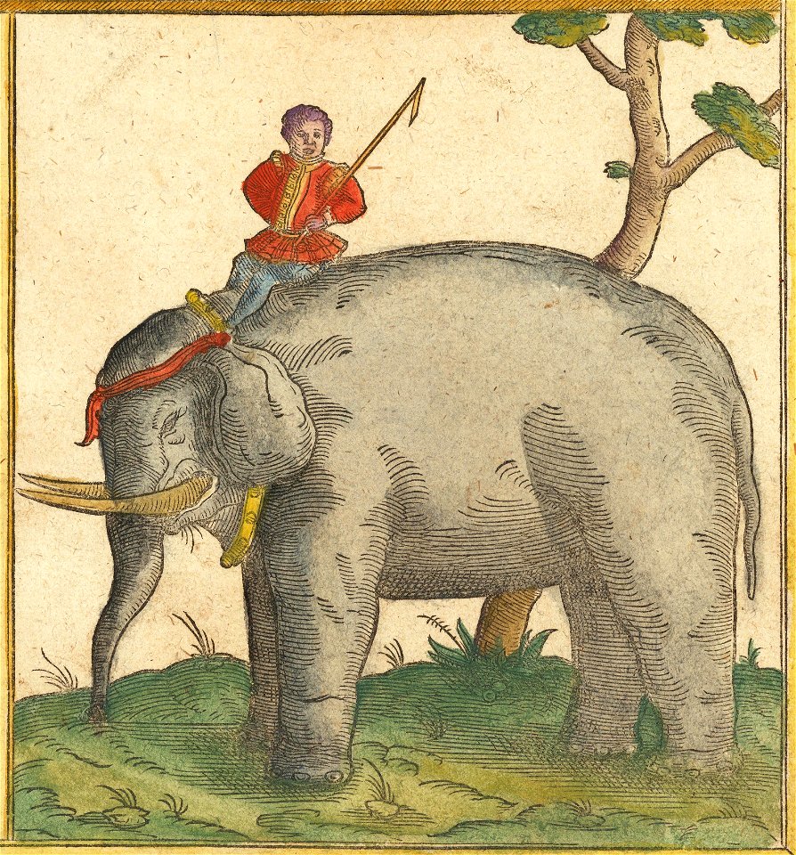 Elephant - Sumatra ein grosse Insel, so von den alten Geographen Taprobana genennet worden (cropped)