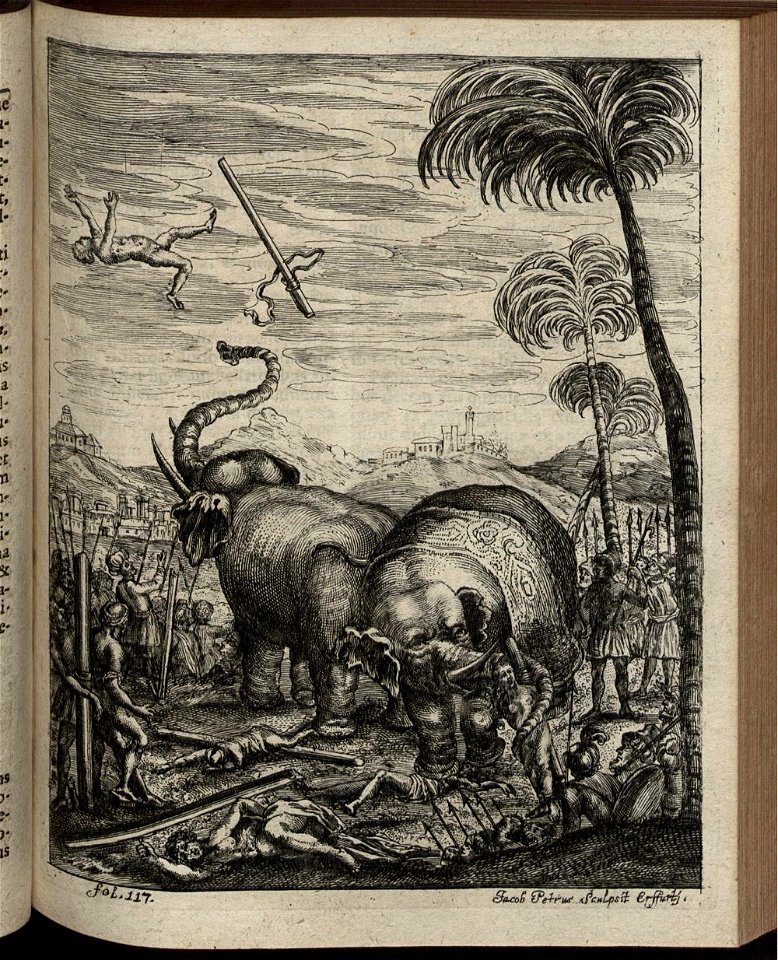 Elephantographia Curiosa 177