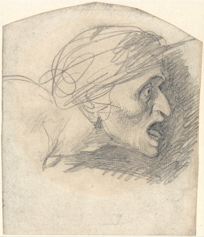 George Romney - Profile of a Grotesque Head Facing Right - Google Art Project