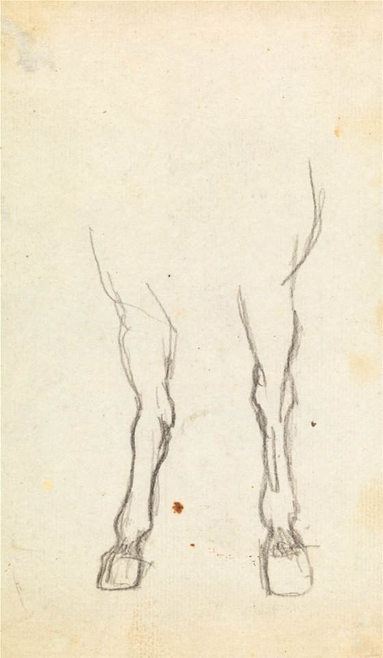 George Romney - Study of a Horse's Hooves - Google Art Project