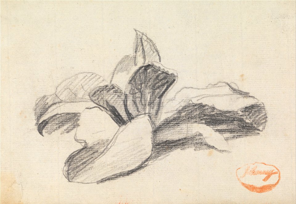 George Romney - Study of Leaves 2 - Google Art Project