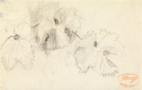 George Romney - Leaves 1 - Google Art Project