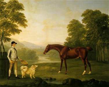 George Stubbs (1724-1806) (after) - A Jockey (in the Duke of Grafton's colours^) with a Chestnut Racehorse and a Pomeranian Dog in a Park - 1449047 - National Trust