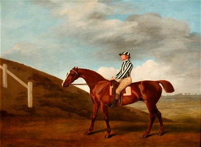 George Stubbs (1724-1806) - 'Pumpkin' - 1535134 - National Trust