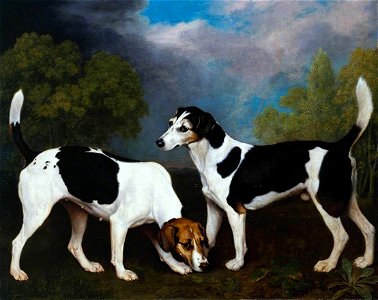 George Stubbs (1724-1806) - A Couple of Foxhounds - T01705 - Tate. Free illustration for personal and commercial use.
