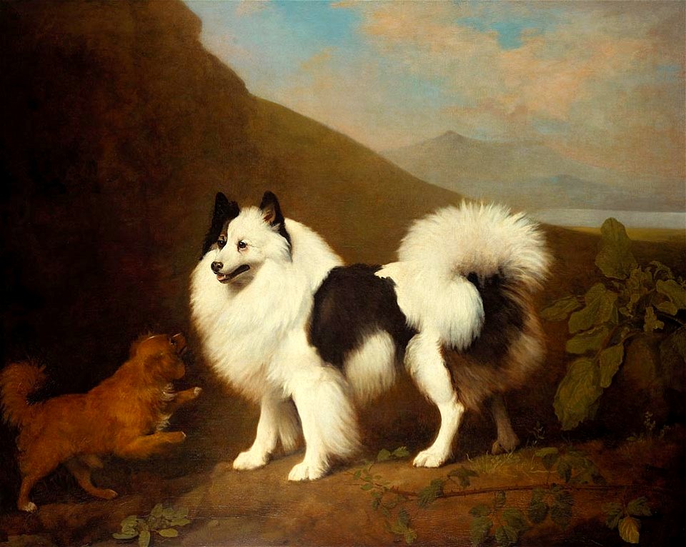 George Stubbs (1724-1806) - Fino and Tiny - RCIN 400943 - Royal Collection