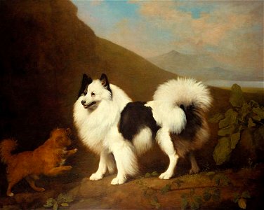 George Stubbs (1724-1806) - Fino and Tiny - RCIN 400943 - Royal Collection
