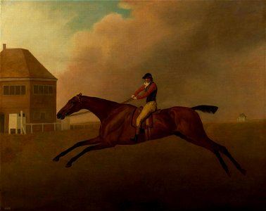 George Stubbs (1724-1806) - Baronet with Samuel Chifney up - RCIN 400587 - Royal Collection