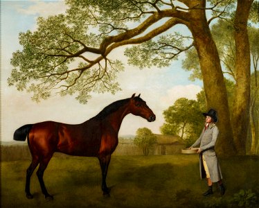 George Stubbs (1724-1806) - John Gascoigne (d. 1812) with a Bay Horse - RCIN 400995 - Royal Collection