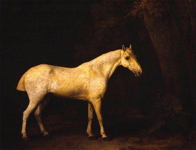 George Stubbs (1724-1806) - Horse in the Shade of a Wood - N04696 - National Gallery. Free illustration for personal and commercial use.