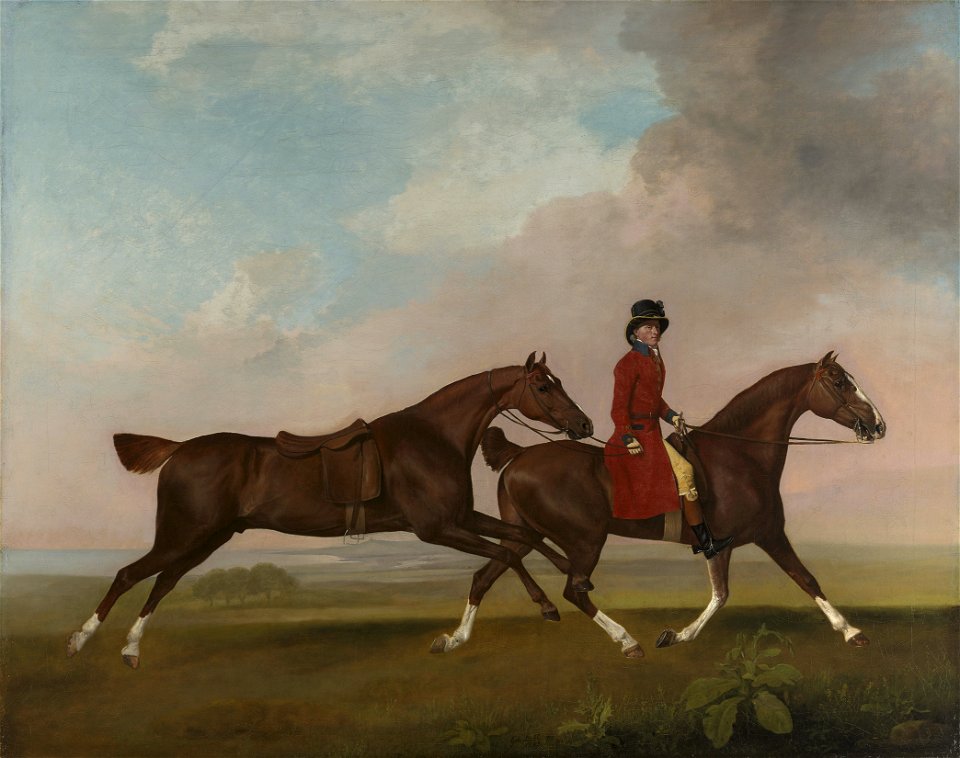 George Stubbs (1724-1806) - William Anderson with two Saddle-Horses - RCIN 400106 - Royal Collection