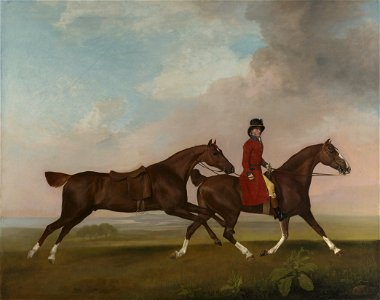 George Stubbs (1724-1806) - William Anderson with two Saddle-Horses - RCIN 400106 - Royal Collection