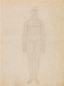 George Stubbs - A Comparative Anatomical Exposition of the Structure of the Human Body with that of a Tiger and a Co... - Google Art Project (2342999)