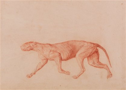 George Stubbs - A Comparative Anatomical Exposition of the Structure of the Human Body with That of a Tiger and a Co... - Google Art Project (2345936)