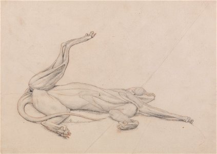 George Stubbs - A Comparative Anatomical Exposition of the Structure of the Human Body with That of a Tiger and a Co... - Google Art Project (2353460)