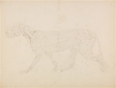 George Stubbs - A Comparative Anatomical Exposition of the Structure of the Human Body with that of a Tiger and a Co... - Google Art Project (2354409)