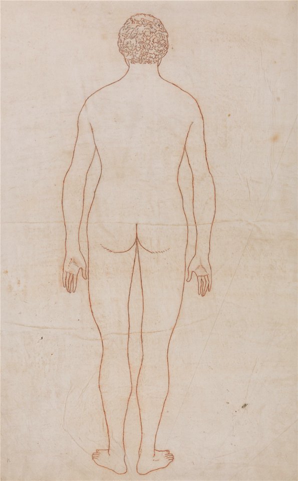 George Stubbs - A Comparative Anatomical Exposition of the Structure of the Human Body with That of a Tiger and a Co... - Google Art Project (2362097)