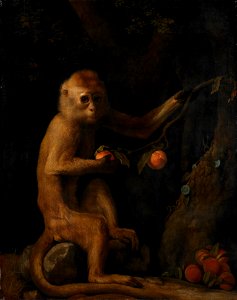 George Stubbs - A Monkey - Google Art Project. Free illustration for personal and commercial use.