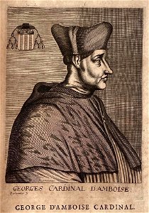 Georges d'Amboise, cardinal
