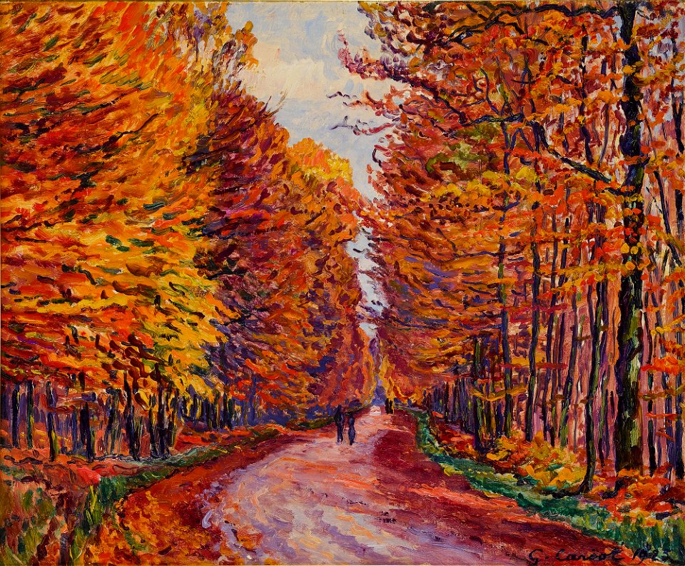 GEORGENBORN, LA ROUTE DE WIESBADEN EN FORÊT, AUTOMNE