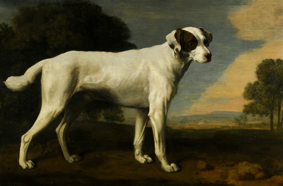 George-Stubbs-Portrait-of-a-white-dog-the-property-of-Lord-Gormanston-oop-fr.