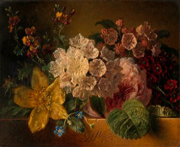 Georgius Jacobus Johannes van Os - Bloemen - SA 166 - Amsterdam Museum