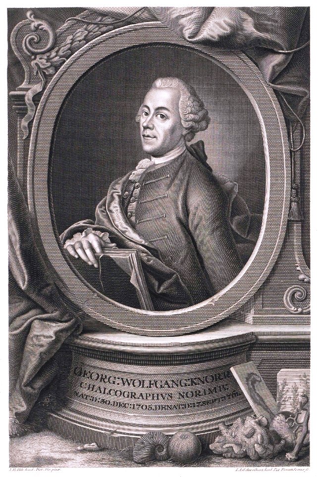 GeorgWolfgangKnorr