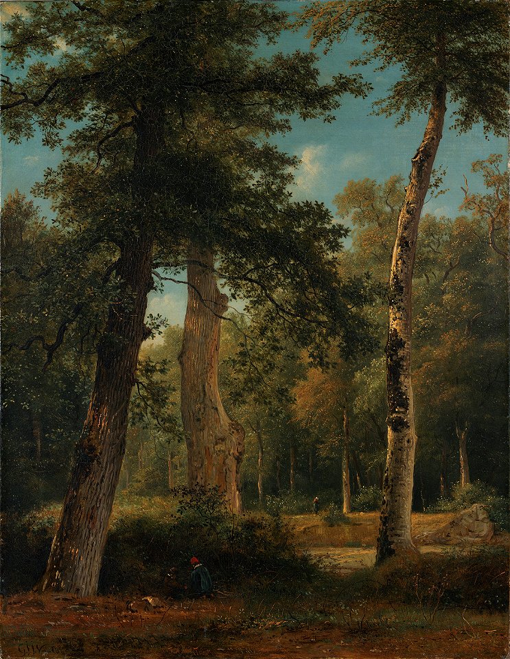 Georgius Jacobus Johannes van Os - Een bos te Fontainebleau - SA 2958 - Amsterdam Museum