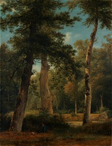 Georgius Jacobus Johannes van Os - Een bos te Fontainebleau - SA 2958 - Amsterdam Museum