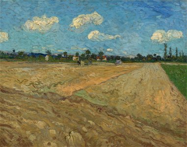 Geploegde akkers (`De voren') - s0040V1962 - Van Gogh Museum