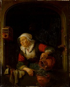 Gerard Dou - An Old Woman Watering a Pot of Pinks RCIN 404621. Free illustration for personal and commercial use.