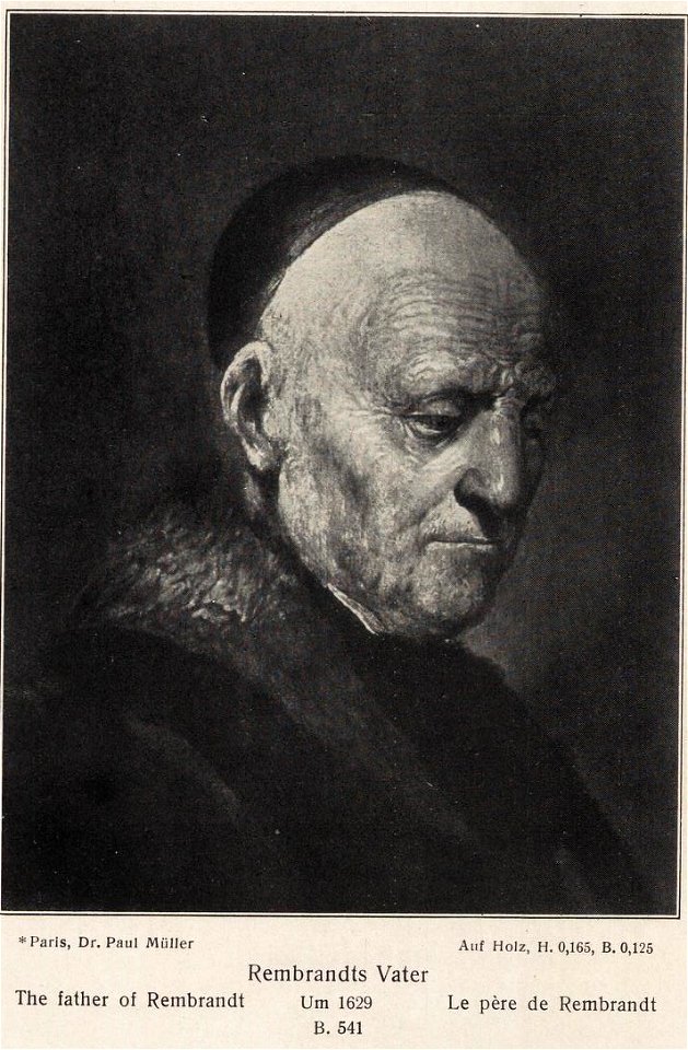 Gerard Dou or school of Rembrandt - Portrait of Rembrandt's Father gri 33125004476327 0082