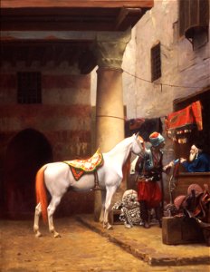 Gerome--Haggin--Saddle-Bazaar