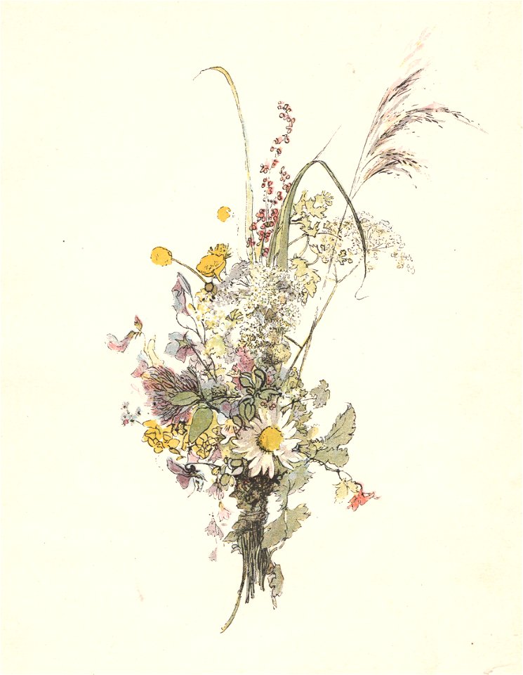 Elias Sehlstedt blomsterbukett Ill av Carl Larsson