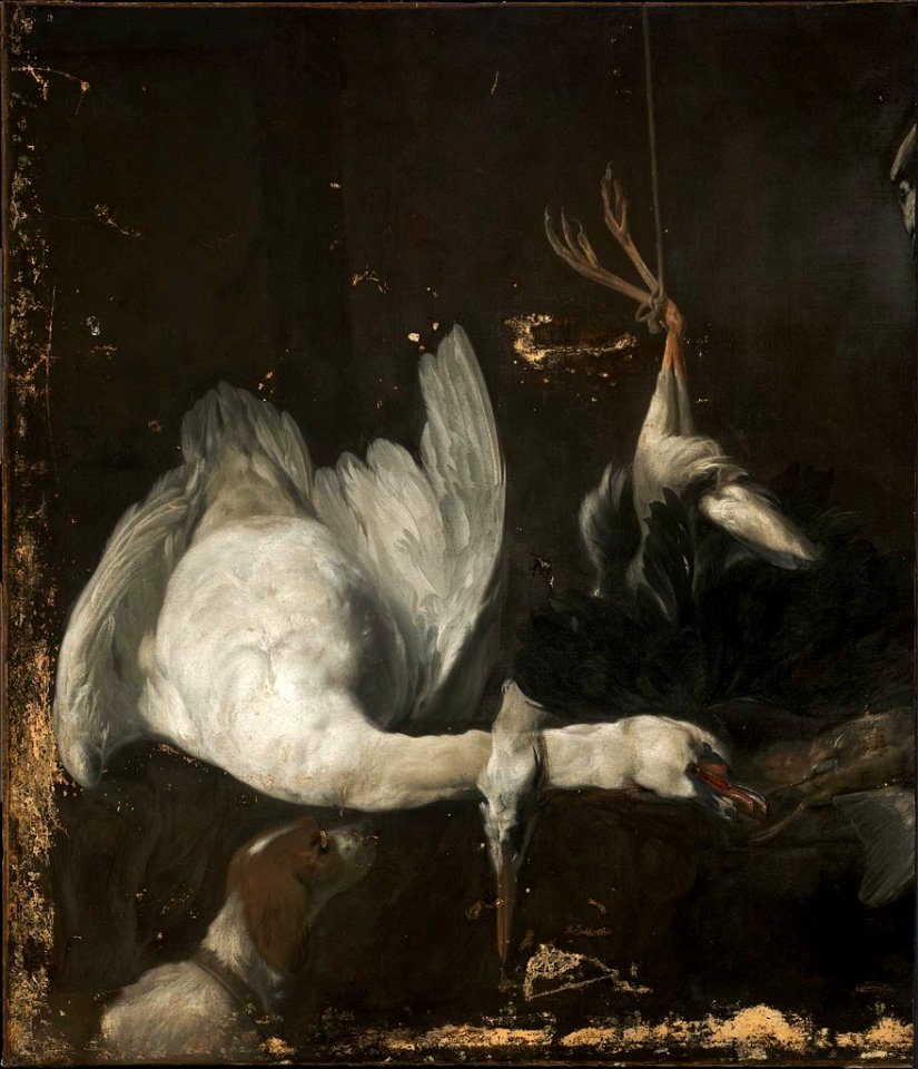 Elias Vonck - Still Life with Dead Heron and Swan - 17.1409 - Museum of Fine Arts