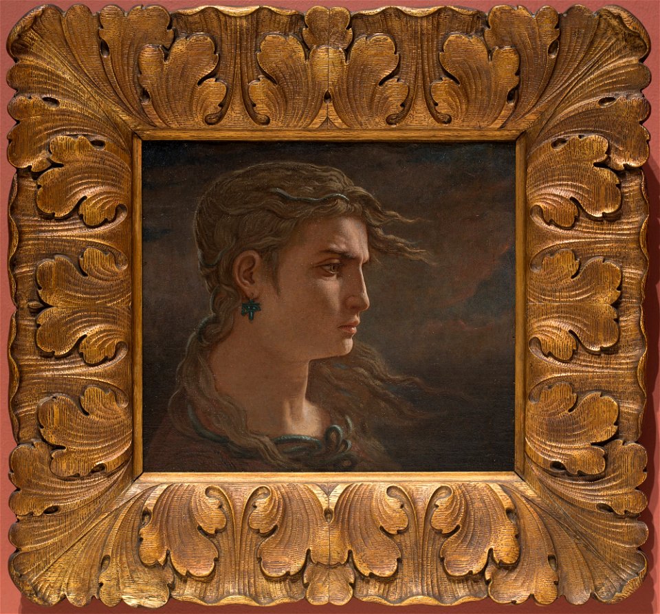 Elihu Vedder - Head of Medusa - 2001.120 - Detroit Institute of Arts