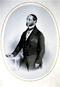 Elio Morpurgo Litho