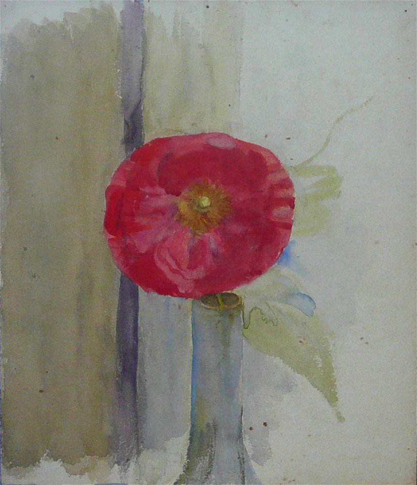 EliseuVisconti-A959-Papoula