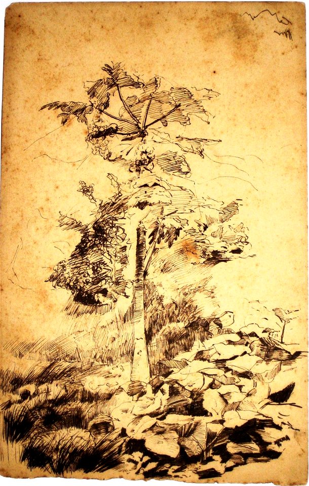 Eliseu Visconti - Mamoeiro c. 1889