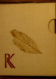 EliseuVisconti-CD003-Caderno 3 do acervo da Biblioteca Mindlin – c.1903
